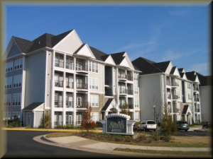 The Arbors at Broadlands